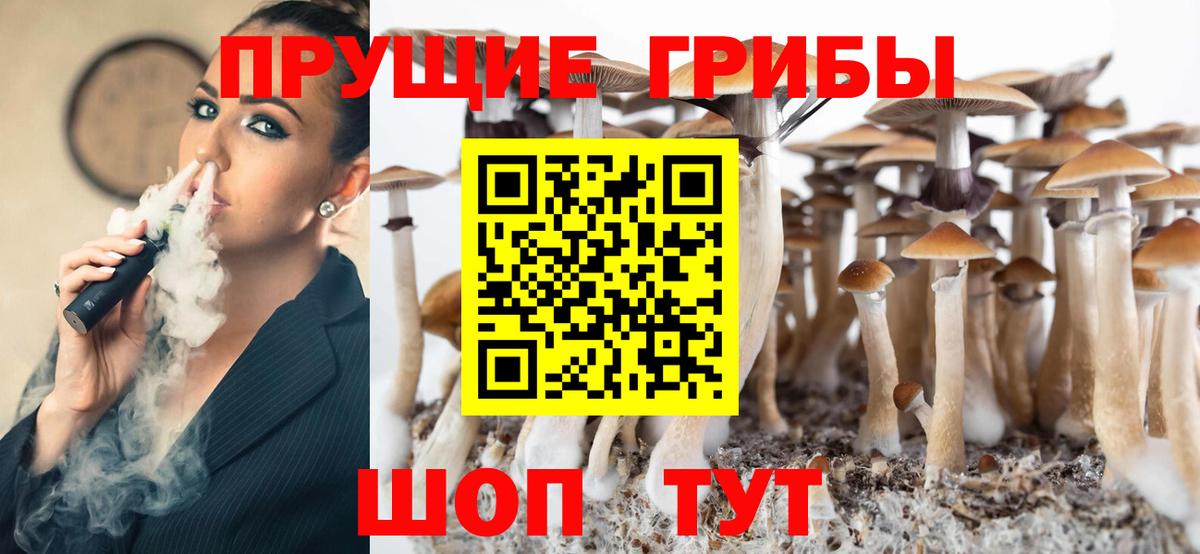 Галлюциногенные грибы Cubensis Котельники