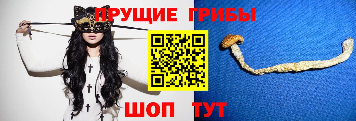 Котельники  Галлюциногенные грибы Magic Shrooms  Псилоцибиновые грибы MAGIC MUSHROOMS  Вход с VPN 